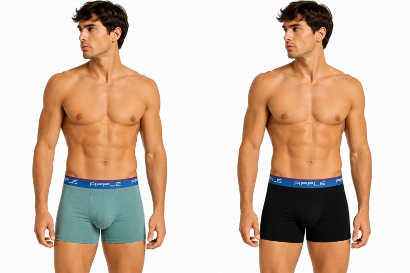 Ανδρικό Boxer Σετ 2τμχ APPLE 18-0112934-BLACK & SAGE BLUE